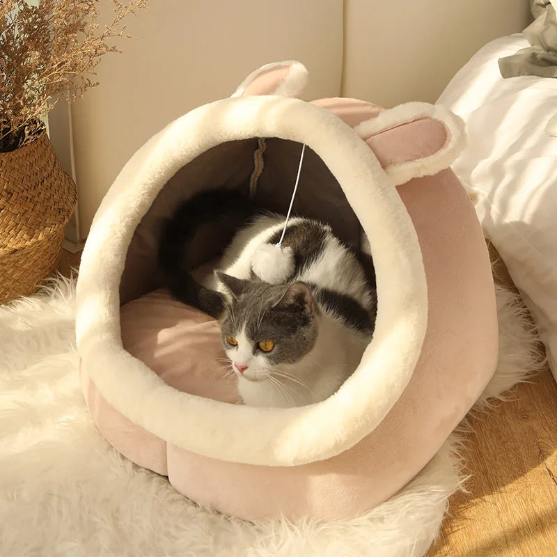 Cartoon-style cat bed—foldable, washable, and cozy for pets