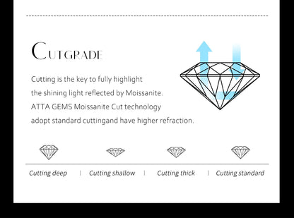 Women’s Moissanite Diamond Necklace – Silver Chain