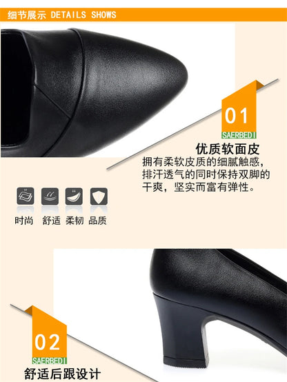 Classic Office Heels – Comfortable Spring/Autumn Footwear