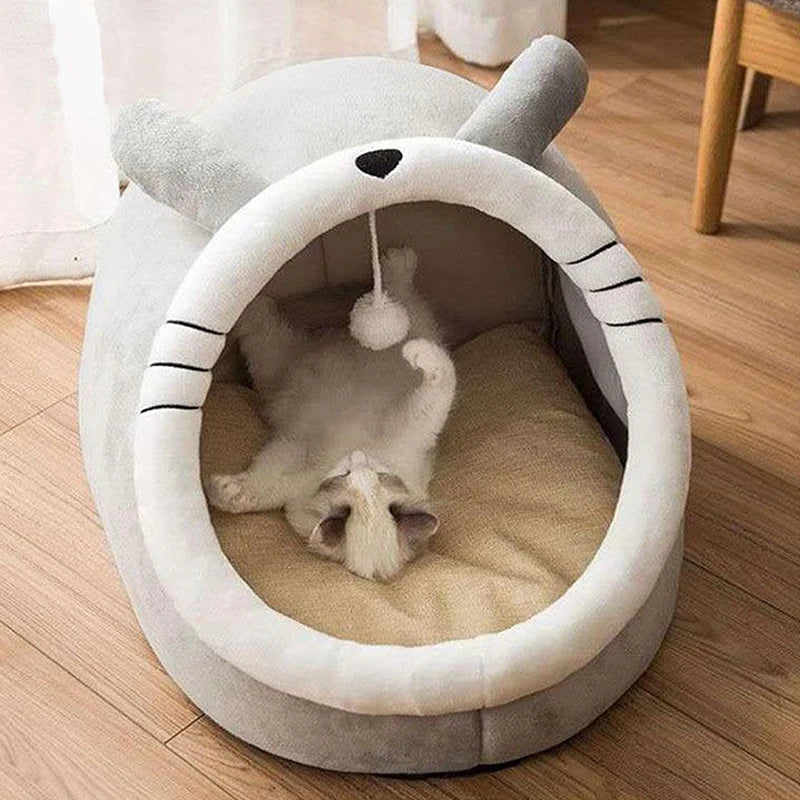 Cartoon-style cat bed—foldable, washable, and cozy for pets